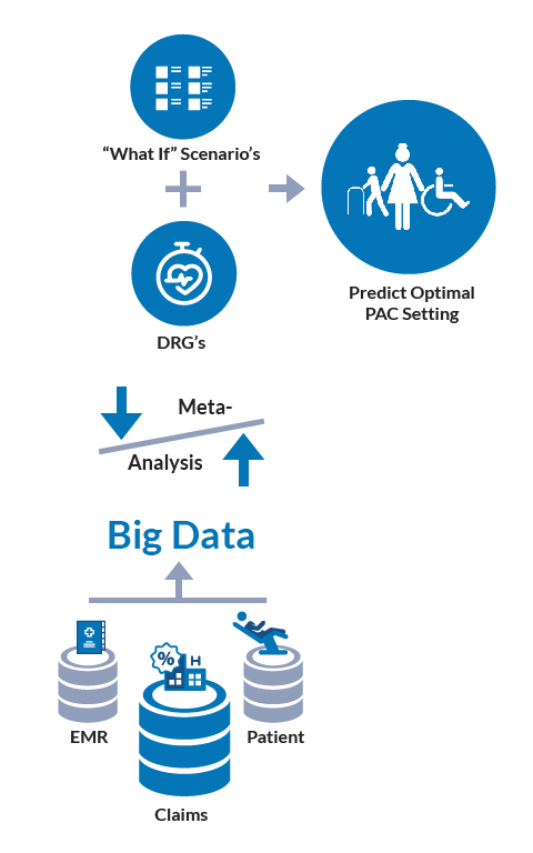 our focus graph image